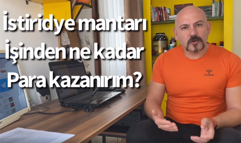 İstiridye Mantarı işinden ne kadar para kazanırım?