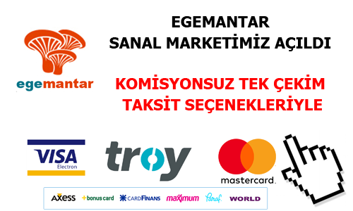 Online alışveriş sitemiz açıldı